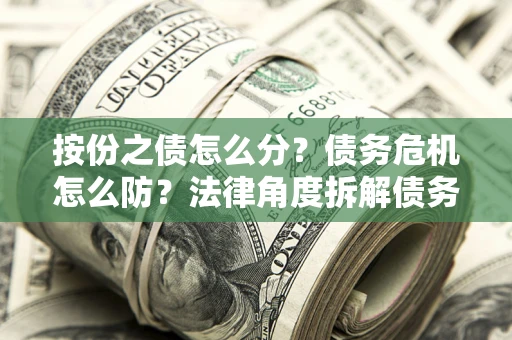 武汉按份之债怎么分？债务危机怎么防？法律角度拆解债务分配与风险自保指南