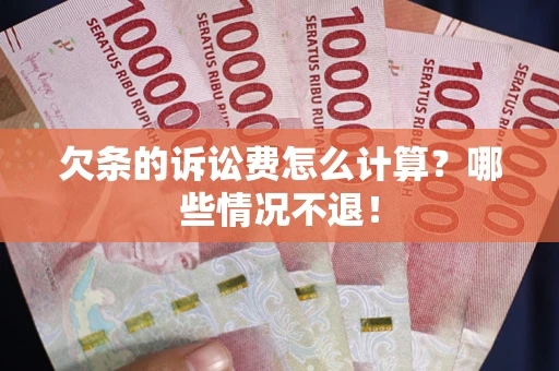 武汉欠条的诉讼费怎么计算？哪些情况不退！