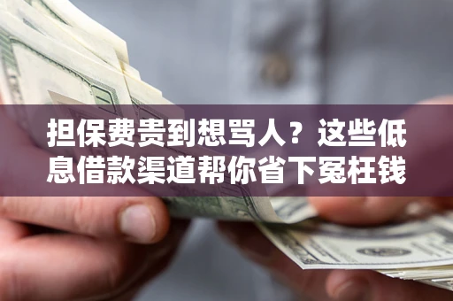 武汉担保费贵到想骂人？这些低息借款渠道帮你省下冤枉钱
