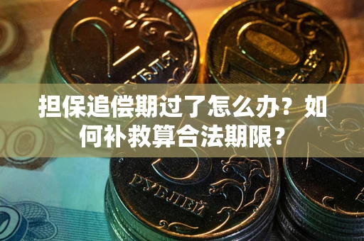 武汉担保追偿期过了怎么办？如何补救算合法期限？