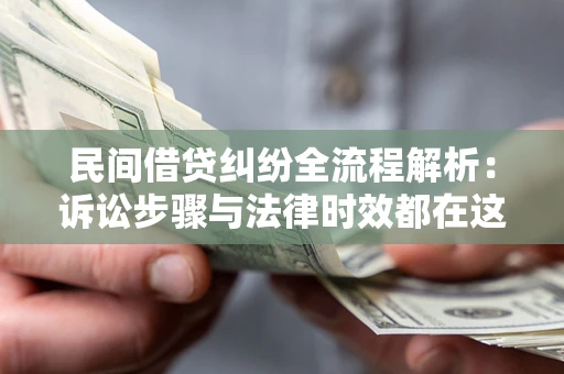 武汉民间借贷纠纷全流程解析：诉讼步骤与法律时效都在这儿了