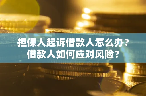 武汉担保人起诉借款人怎么办？借款人如何应对风险？