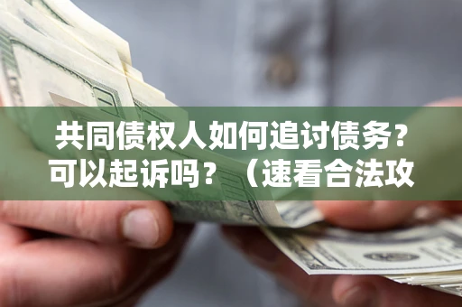 武汉共同债权人如何追讨债务？可以起诉吗？（速看合法攻略）
