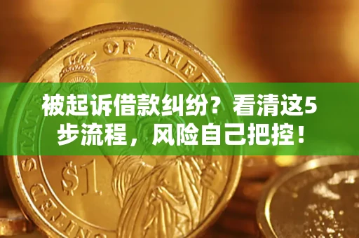 武汉被起诉借款纠纷？看清这5步流程，风险自己把控！