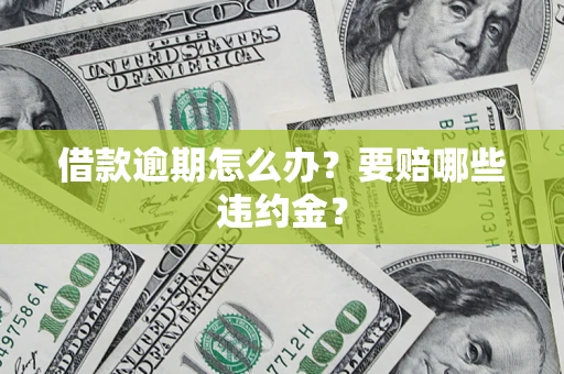武汉借款逾期怎么办？要赔哪些违约金？