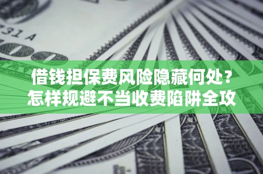武汉借钱担保费风险隐藏何处？怎样规避不当收费陷阱全攻略！